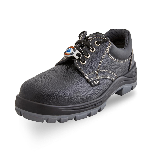 Tradewell group industrial safety shoes footware dealer & supplier in aurangabad